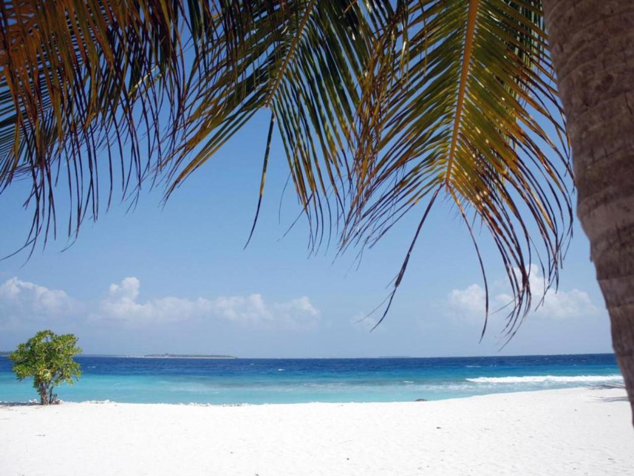 Dharavandhoo Stay Dış mekan fotoğraf