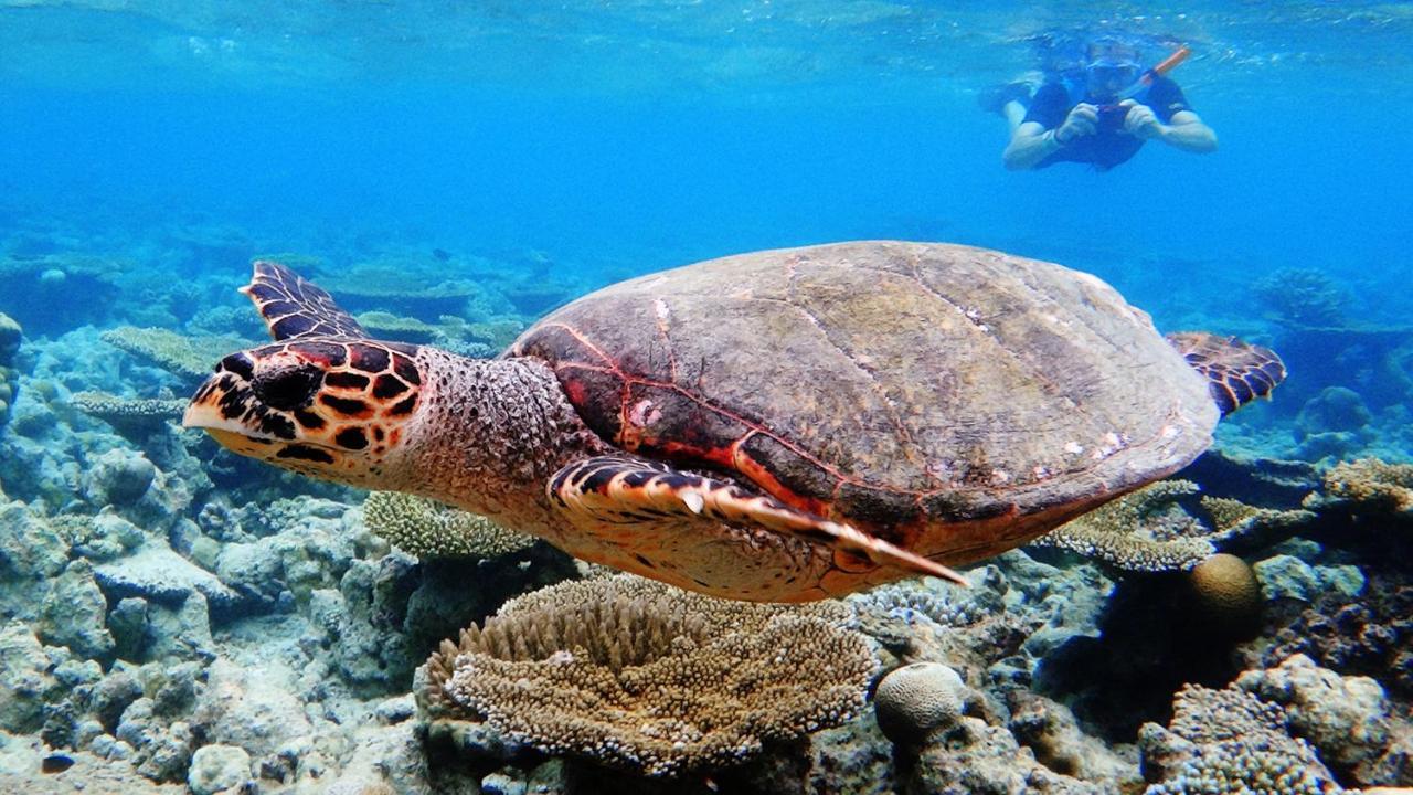 Dharavandhoo Stay Dış mekan fotoğraf