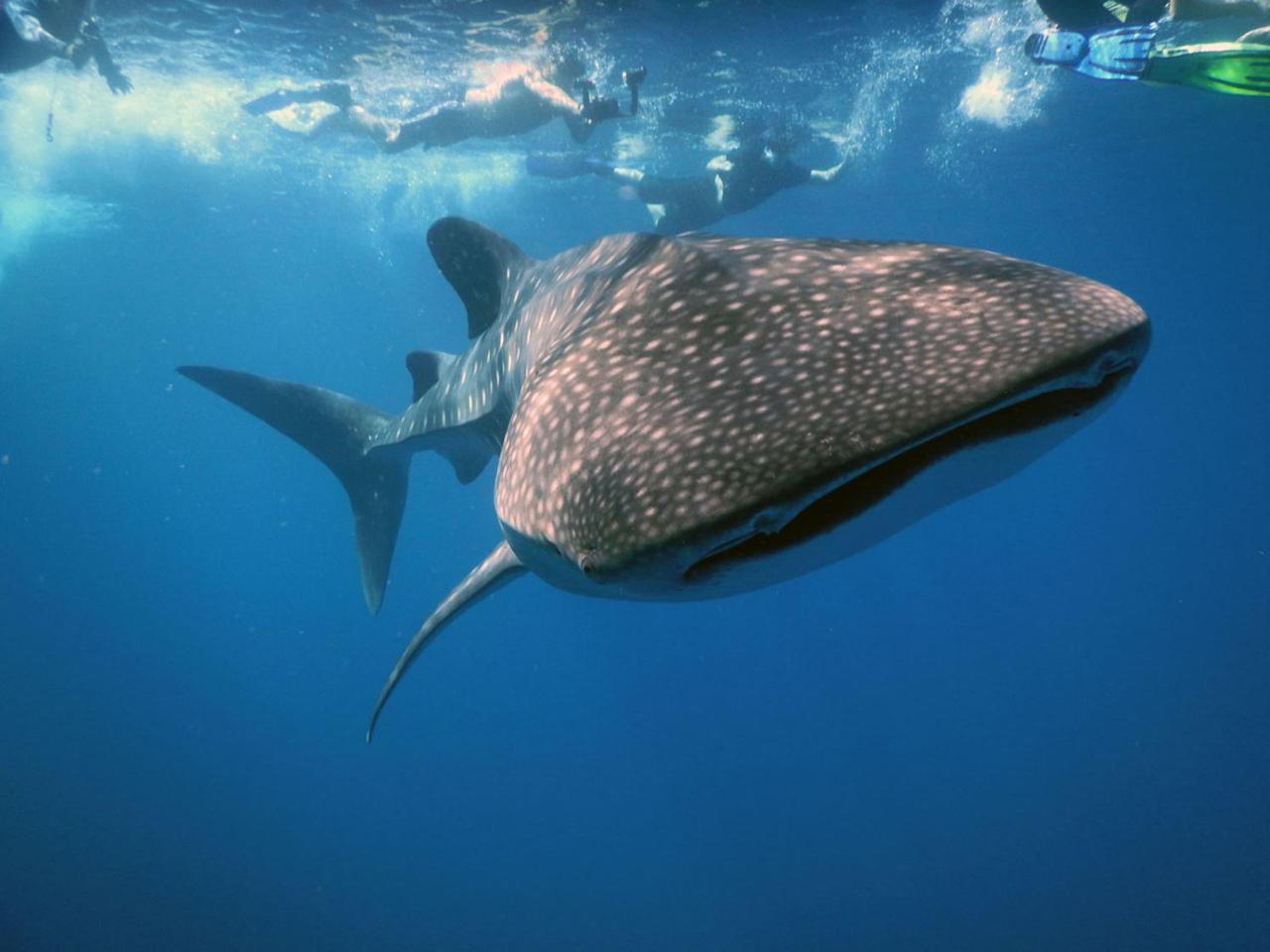 Dharavandhoo Stay Dış mekan fotoğraf