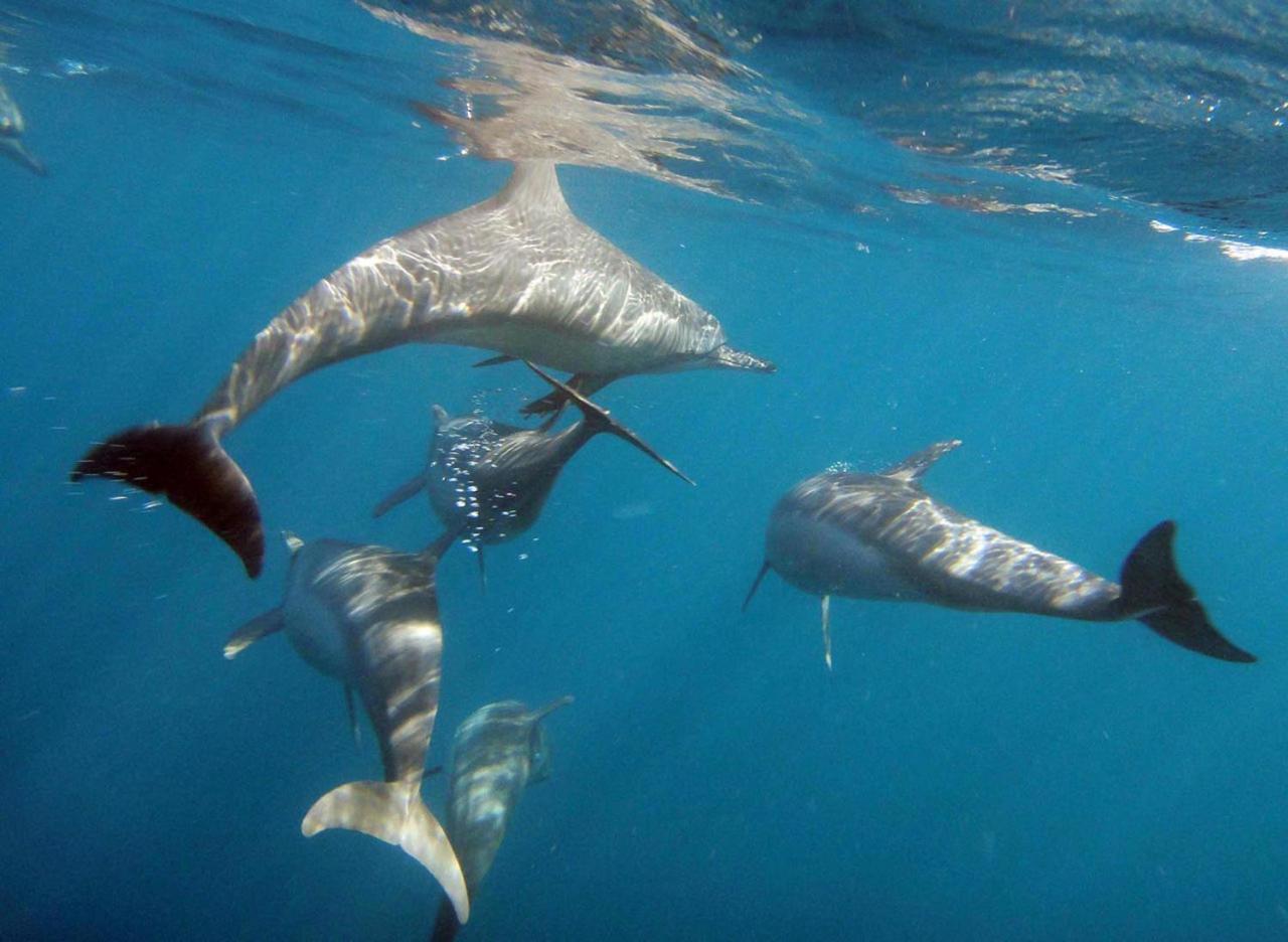 Dharavandhoo Stay Dış mekan fotoğraf