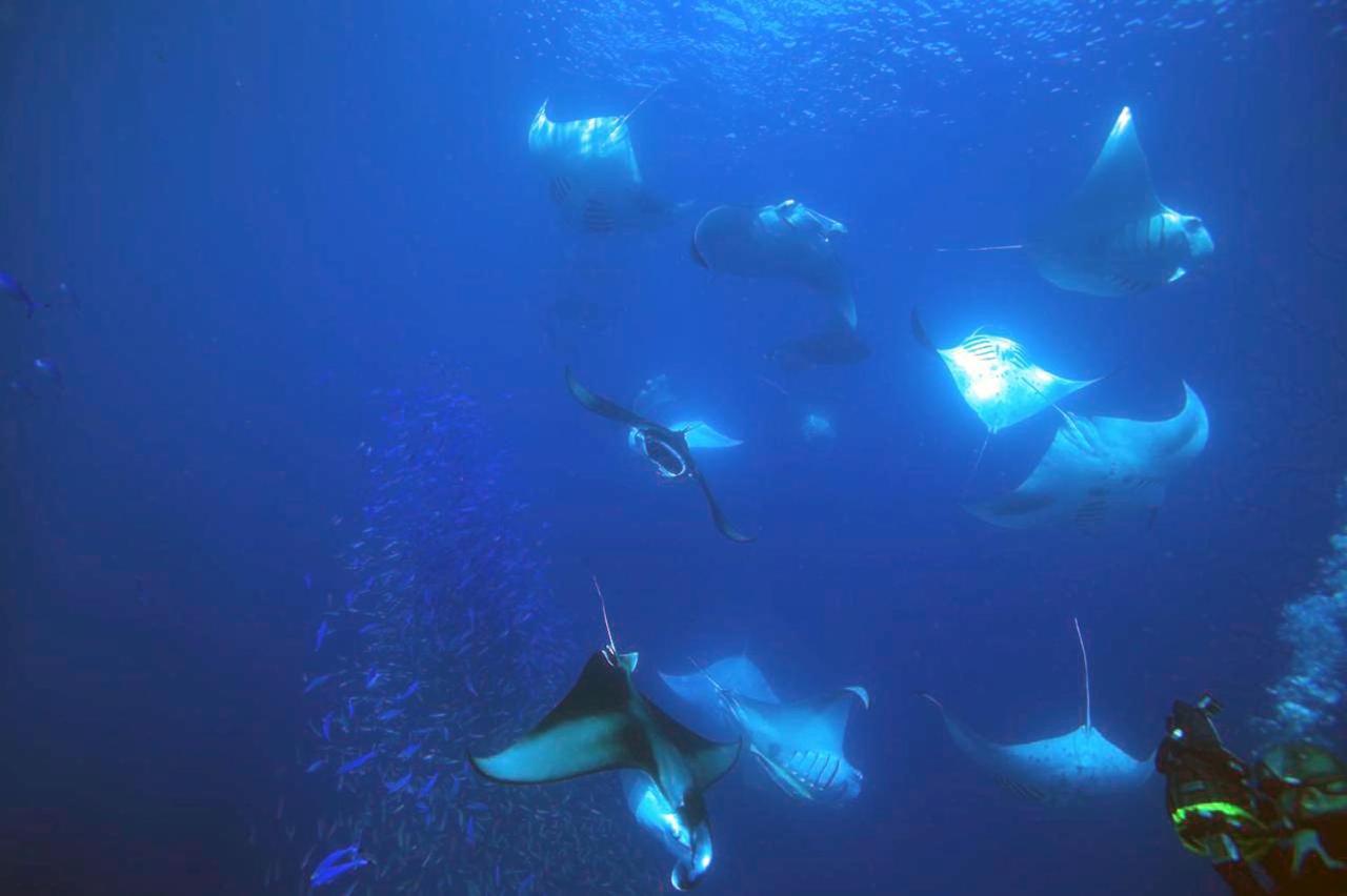Dharavandhoo Stay Dış mekan fotoğraf