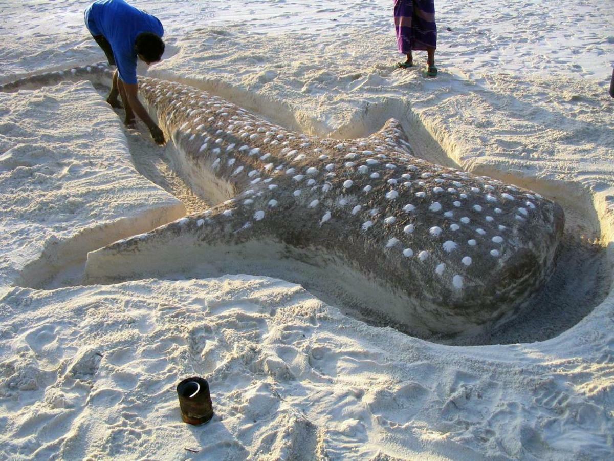Dharavandhoo Stay Dış mekan fotoğraf