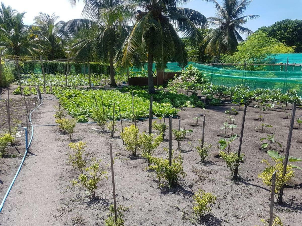 Dharavandhoo Stay Dış mekan fotoğraf